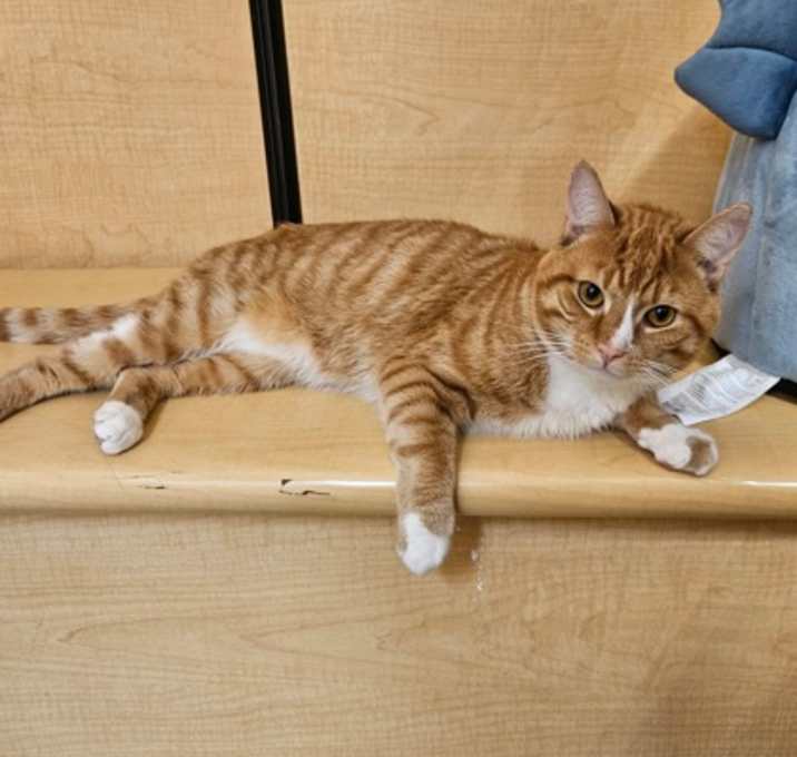 Photo of Mushy