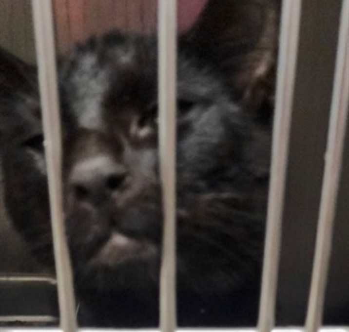 Photo of BELLE