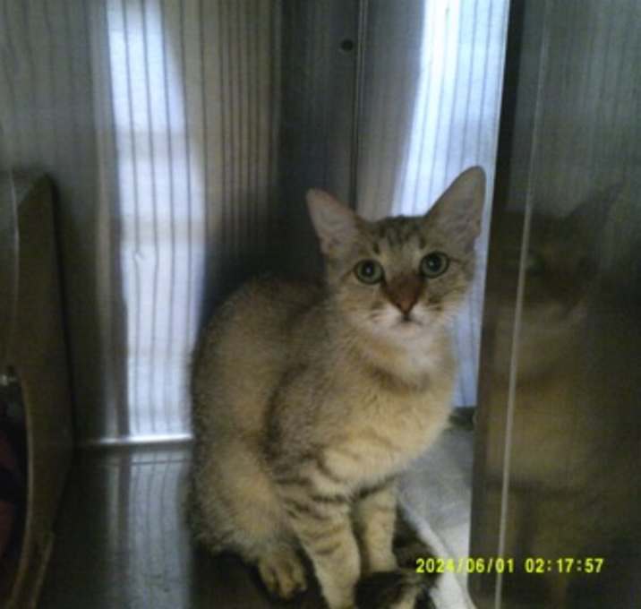 Photo of Lucille