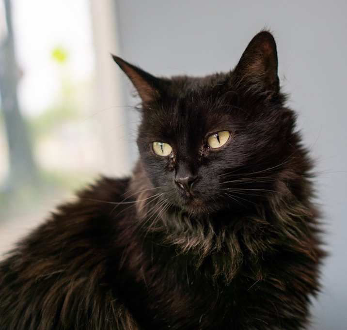 Photo of Sundance