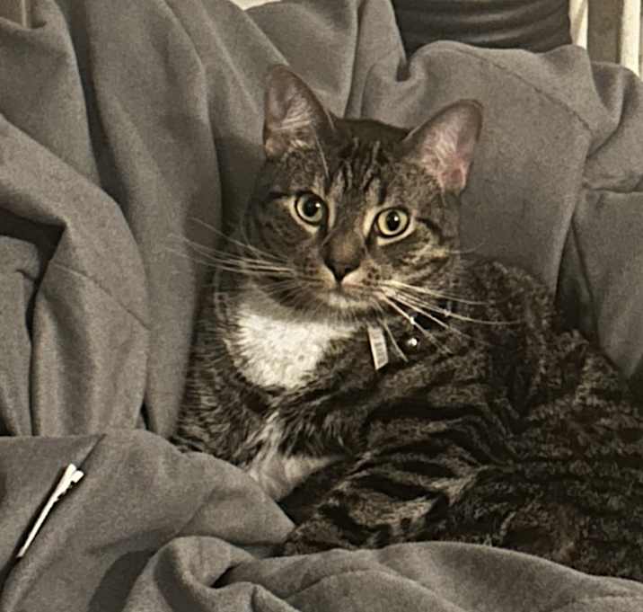 Photo of Karen