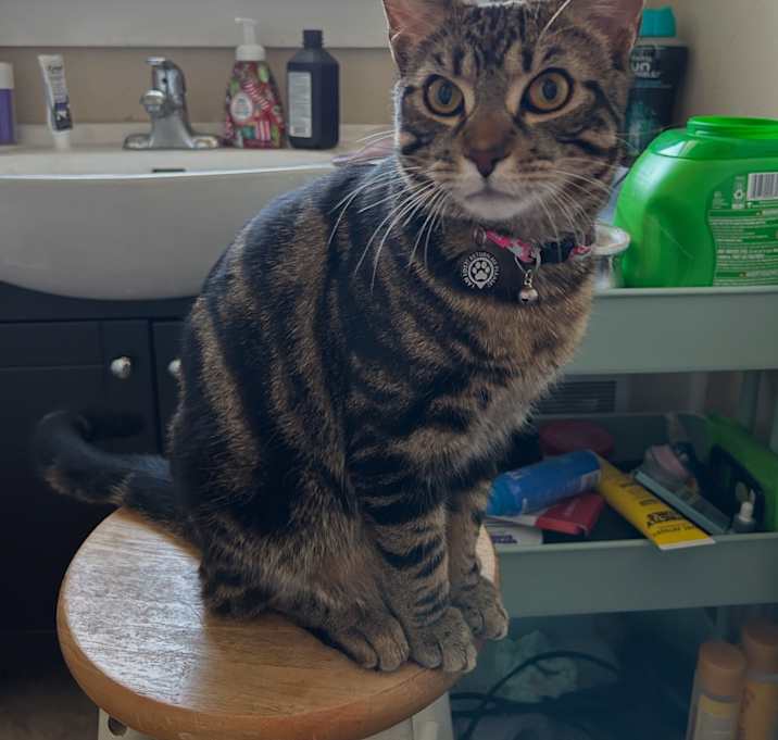 Photo of Colin