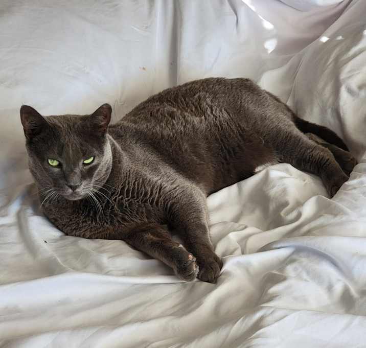 Photo of Powder