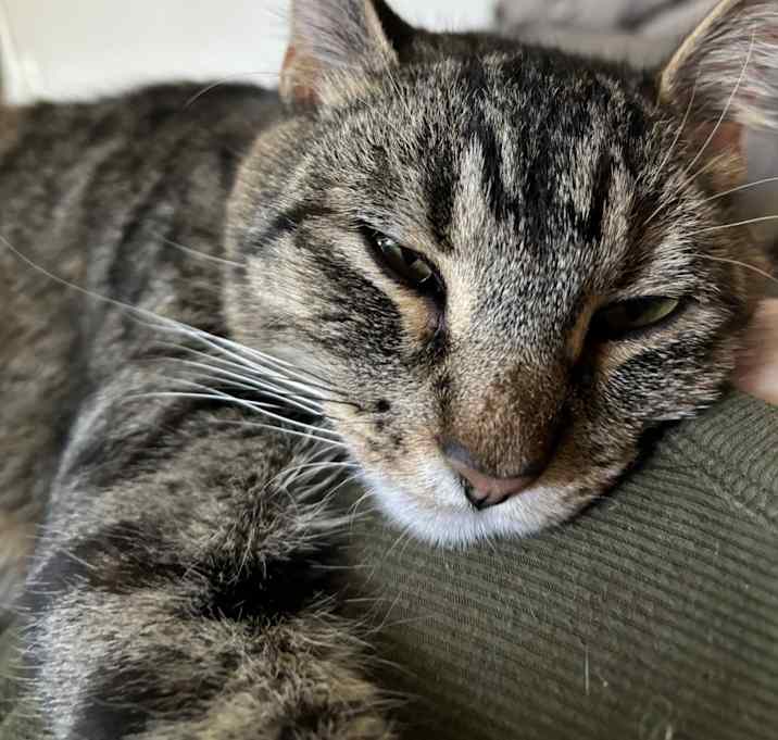 Photo of Cling