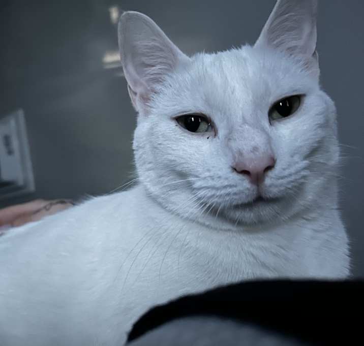 Photo of Olaf