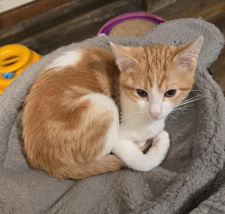 Photo of Tuesday