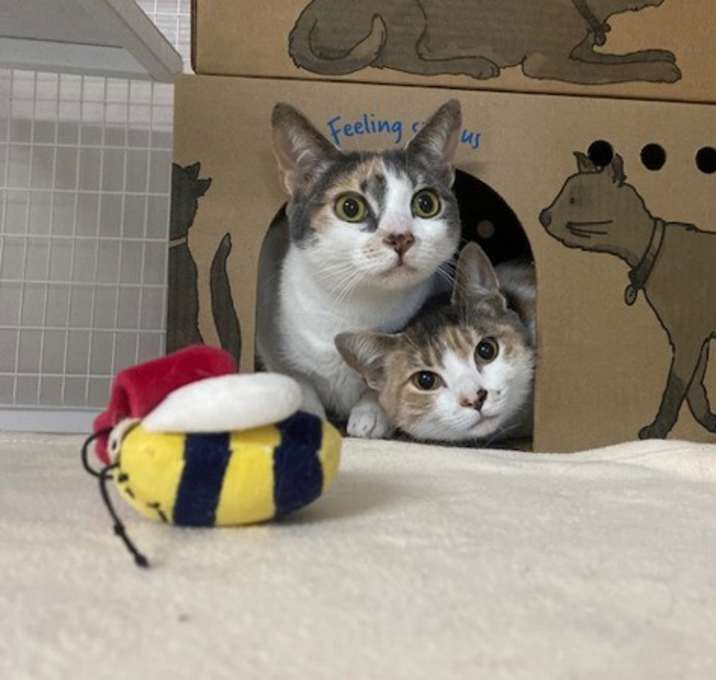 Photo of Wilma