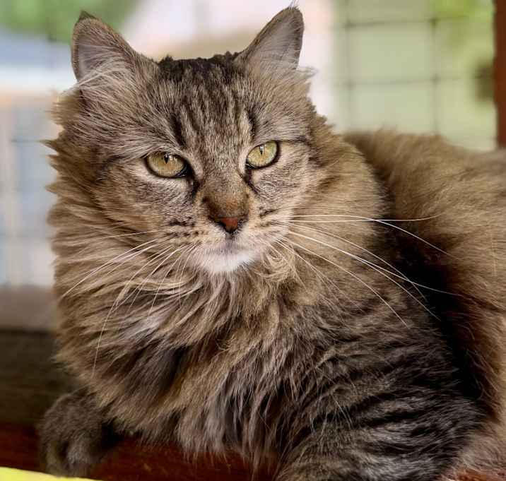 Photo of Bette Boo