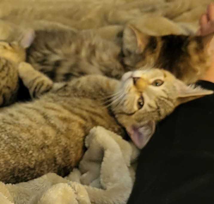 Photo of Baby