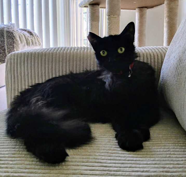 Photo of Moses