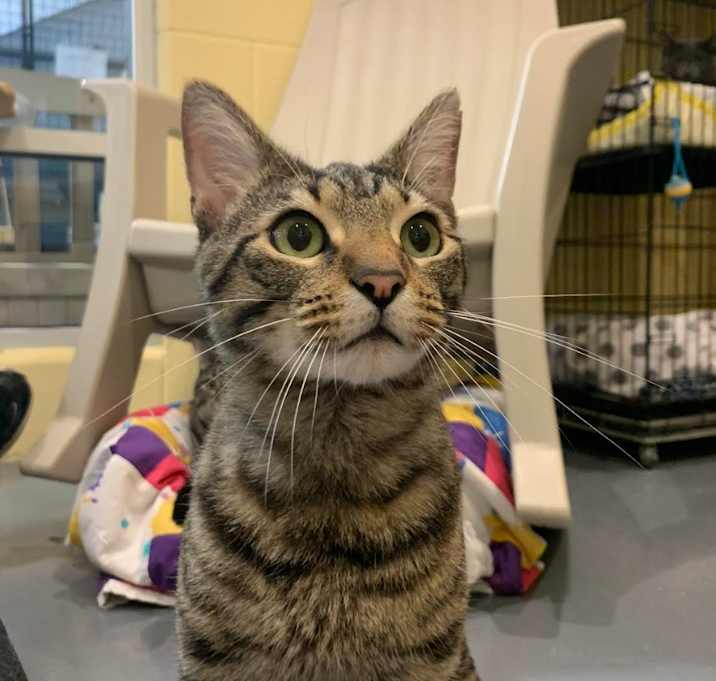 Photo of Klaus