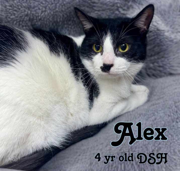 Photo of Alex
