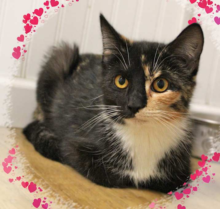 Photo of Jasmine