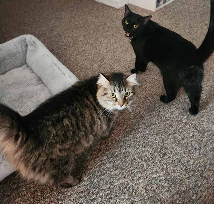 Photo of Rueben and Tucker