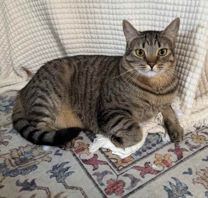 Photo of Oliver