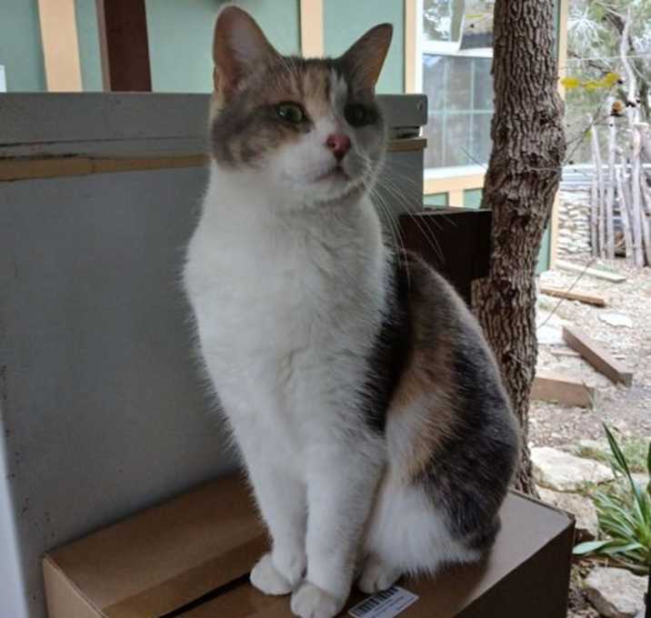 Photo of ELSIE