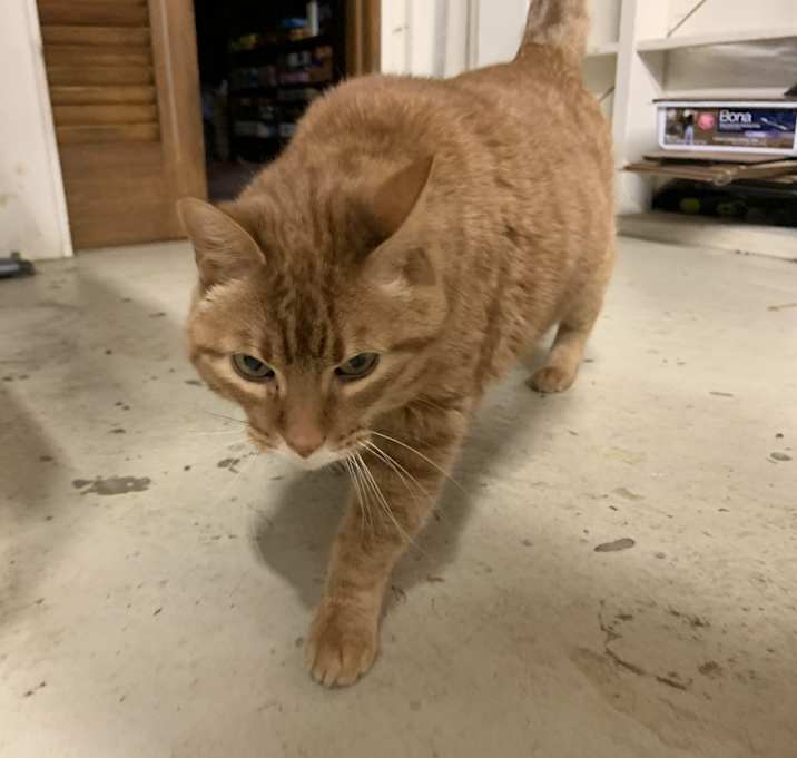 Photo of Otto