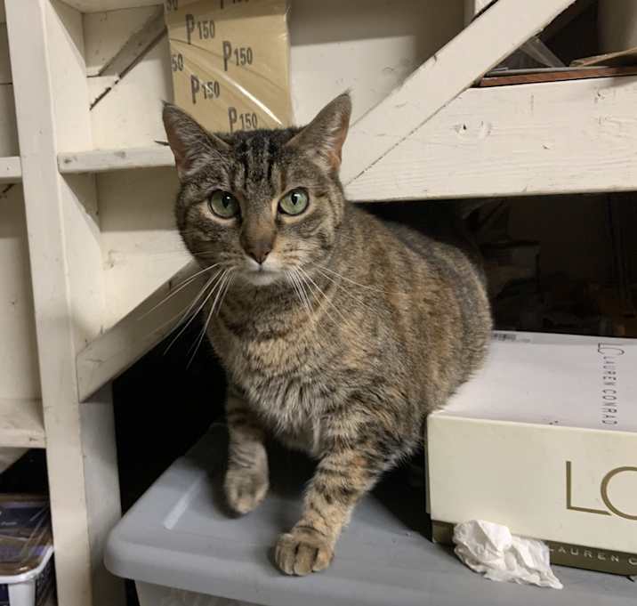 Photo of Greta