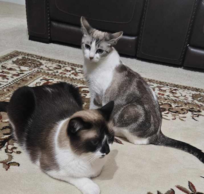 Photo of Lily
