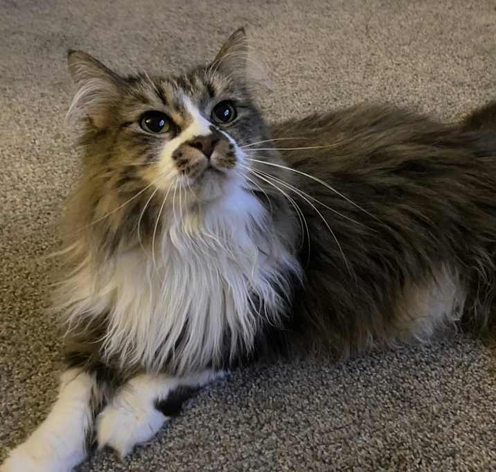 Photo of Kiki