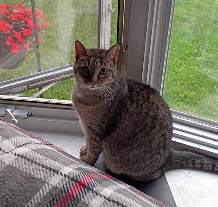 Photo of Charlie