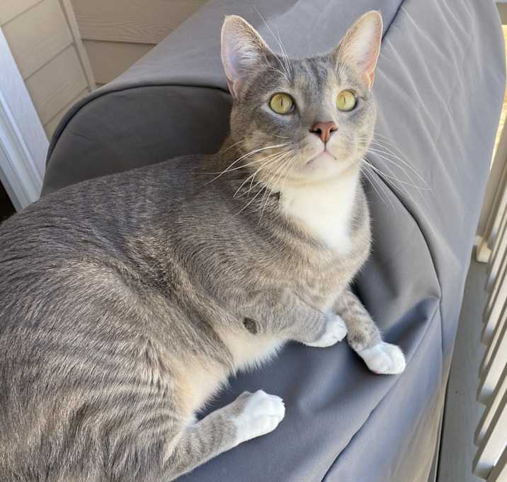 Photo of Hugo