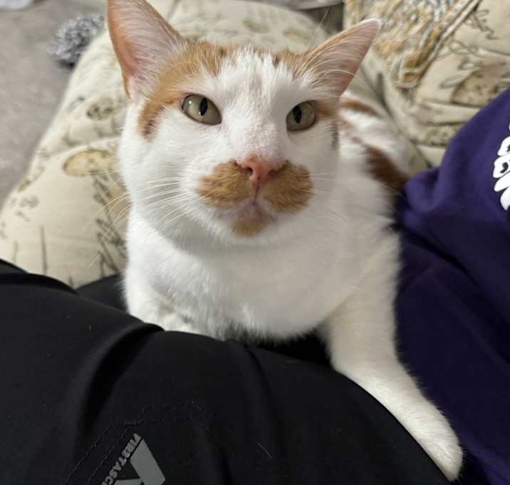 Photo of Charley