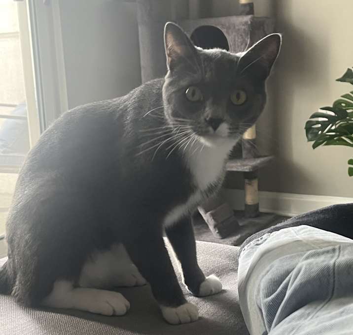 Photo of Toby
