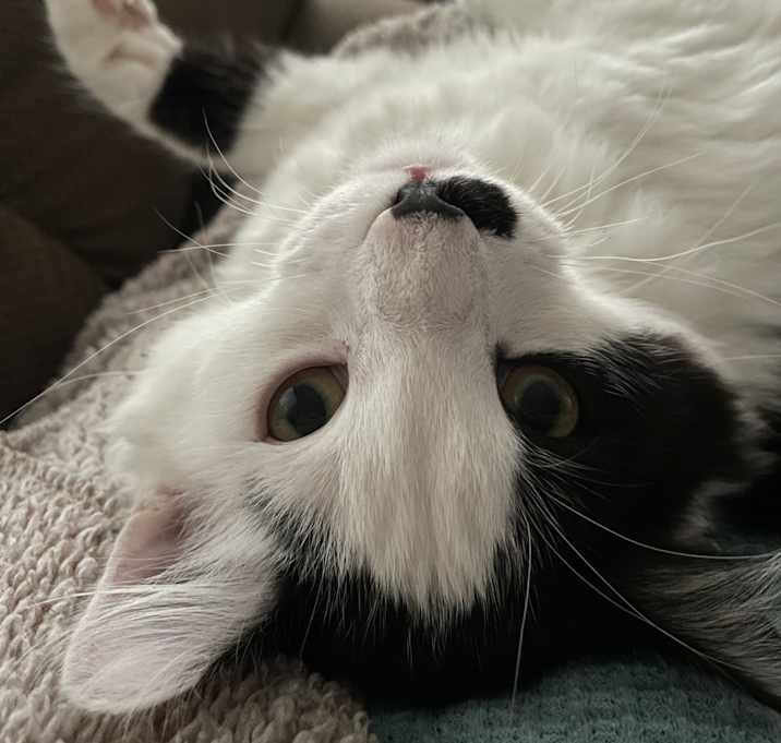 Photo of Charlie