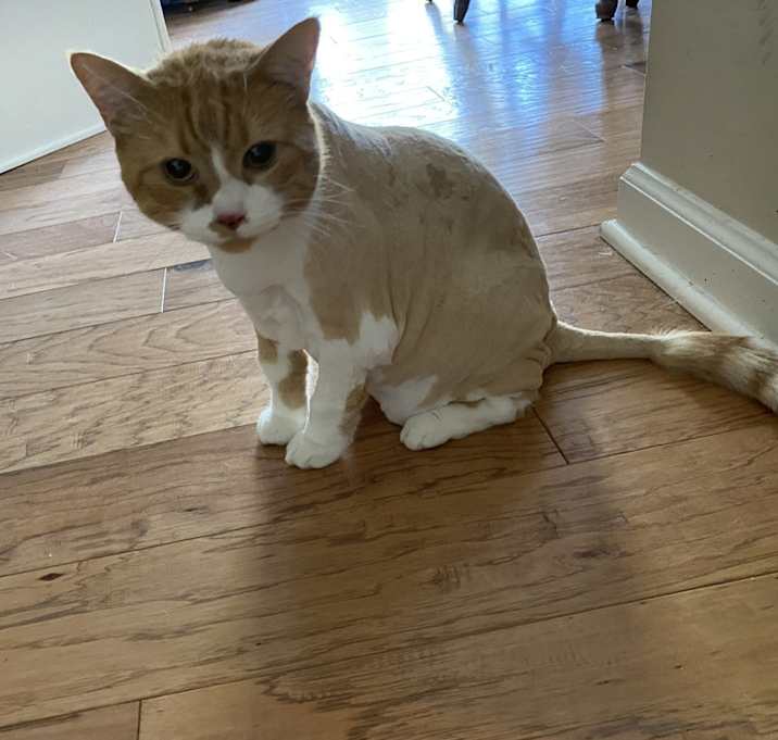 Photo of Elly