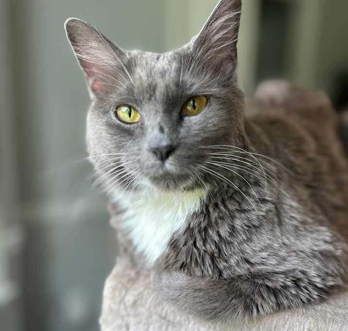 Photo of Catalina