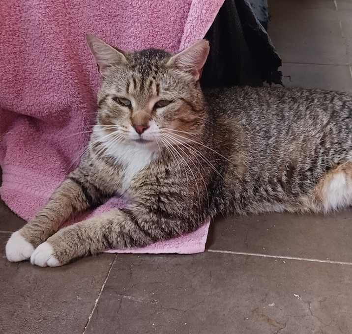 Photo of Tom