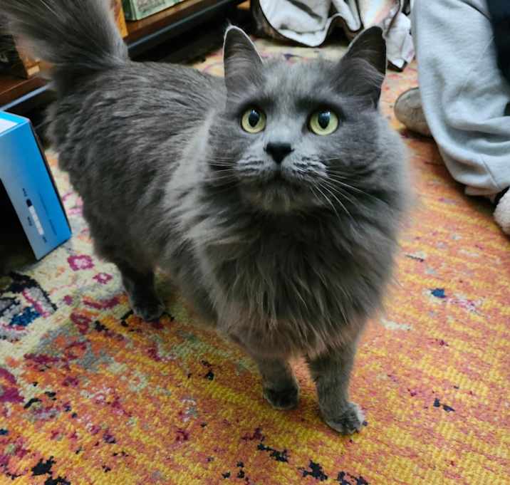 Photo of Priscilla