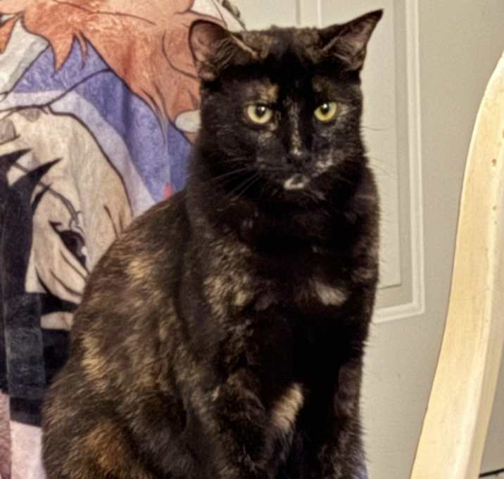 Photo of Fleezie