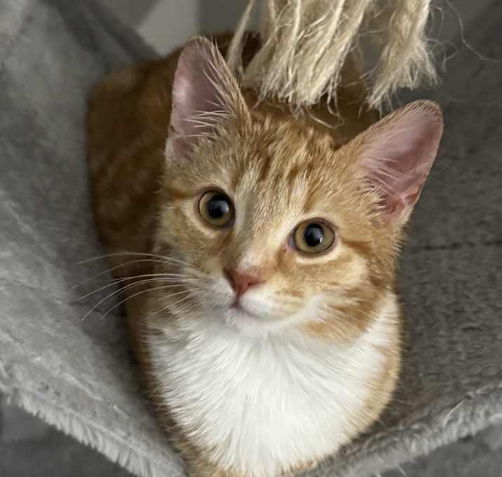 Photo of Thumbelina