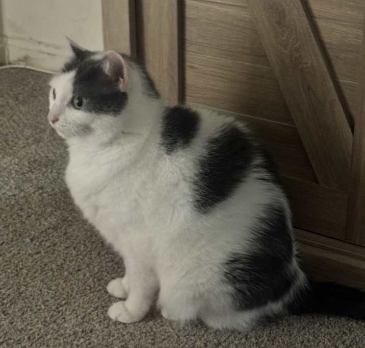Photo of Storm