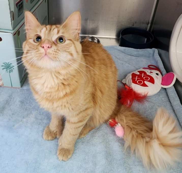 Photo of Chance