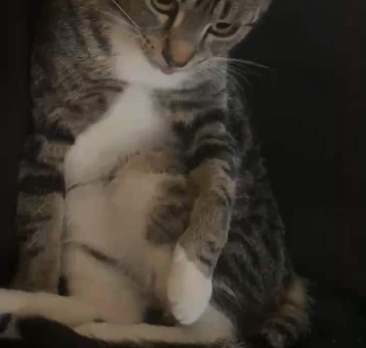 Photo of Charlie