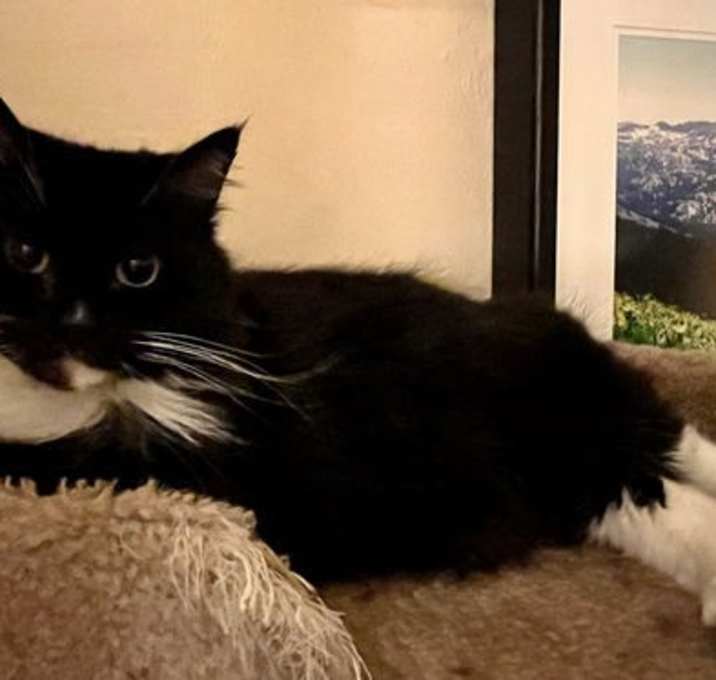 Photo of Paloma Tuna