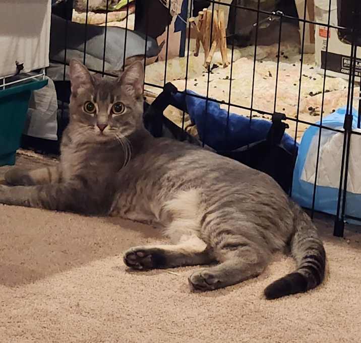 Photo of Mama