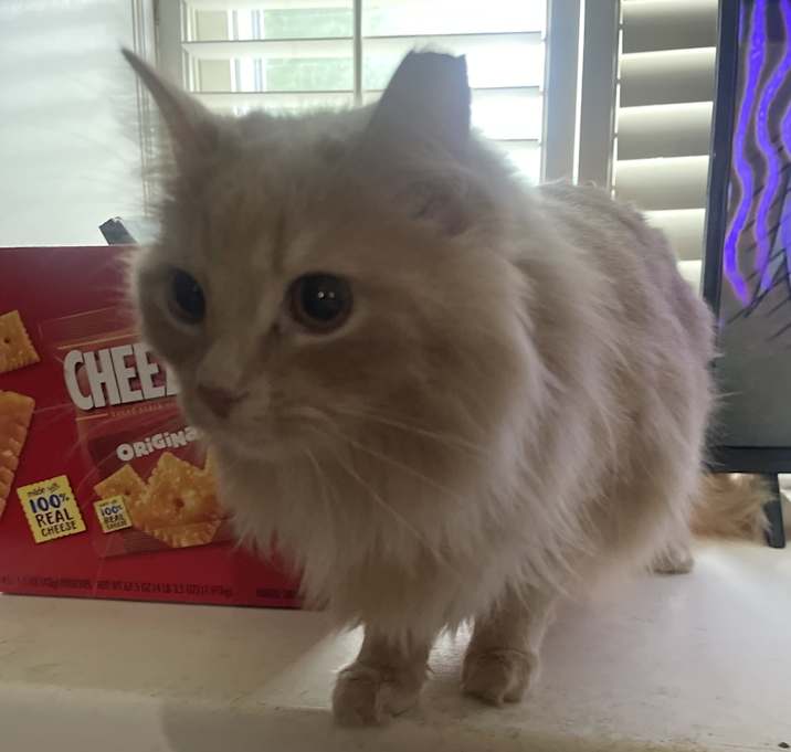 Photo of Leo