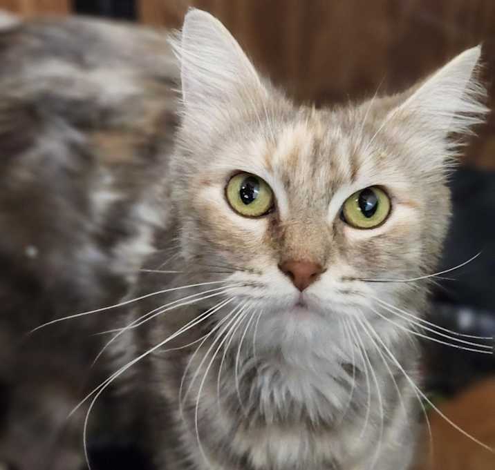 Photo of Josephine