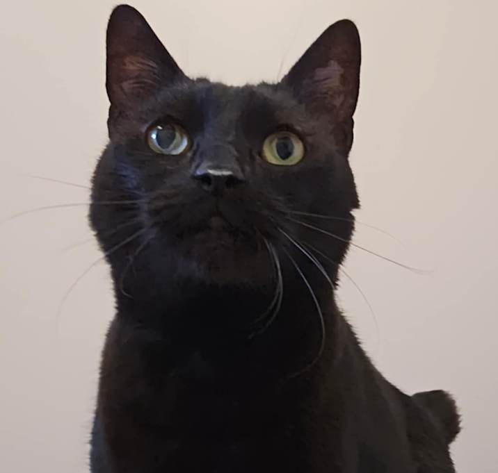Photo of Glynda