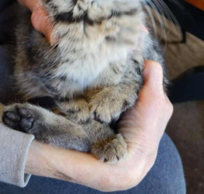 Photo of Marty