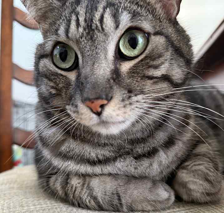 Photo of Theo