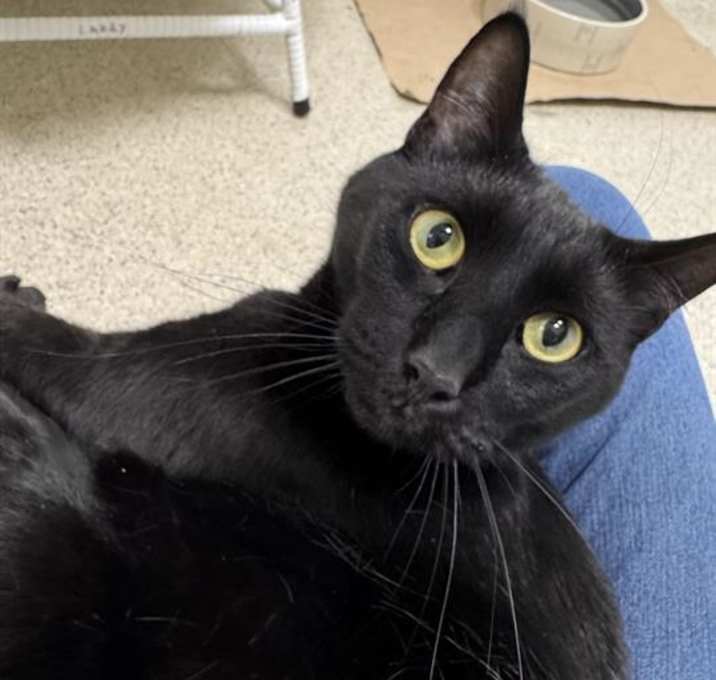 Photo of MR. TUX