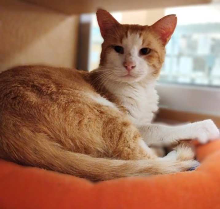 Photo of Thomas