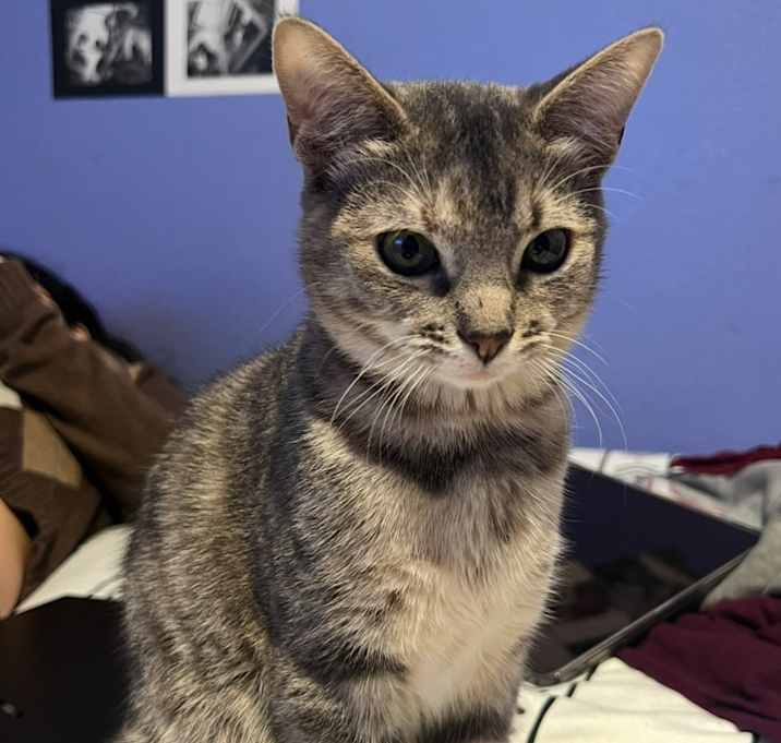Photo of Ivy