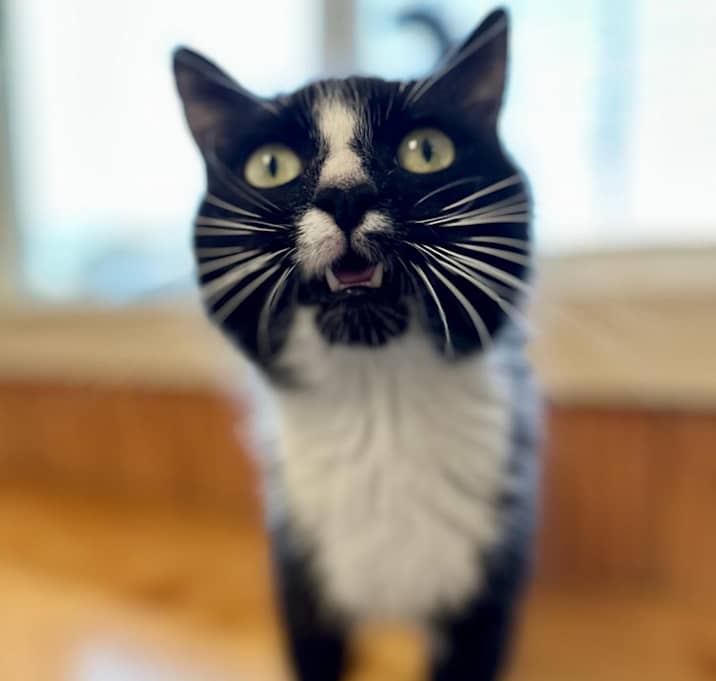 Photo of CeeCee