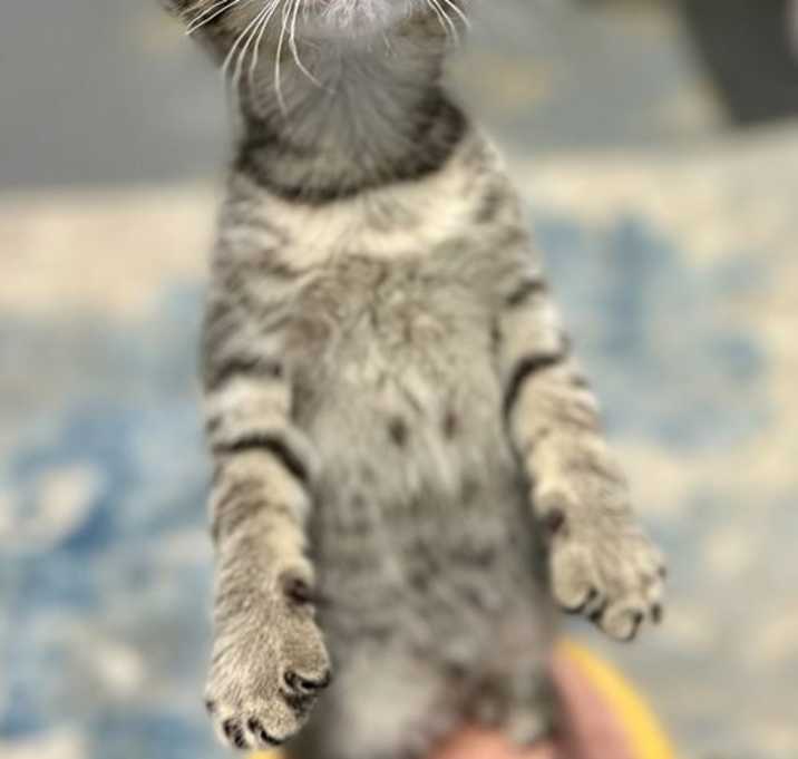 Photo of Thor